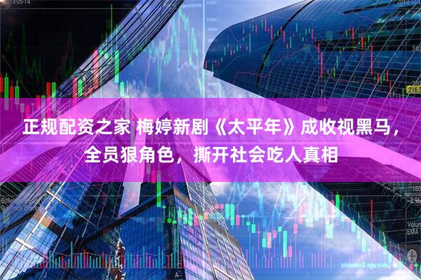 正规配资之家 梅婷新剧《太平年》成收视黑马，全员狠角色，撕开社会吃人真相
